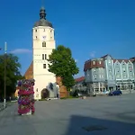 Hainbuche Im Spreewald *