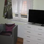 Hainbuche Im Spreewald Lübben