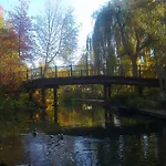 Daire Hainbuche Im Spreewald *