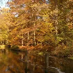 Daire Hainbuche Im Spreewald