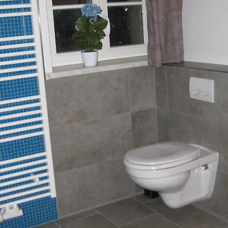 Hainbuche Im Spreewald Lübben