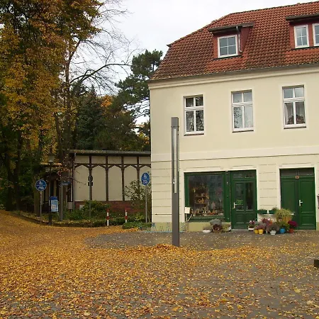 Hainbuche Im Spreewald