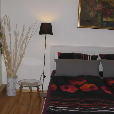 Hainbuche Im Spreewald *