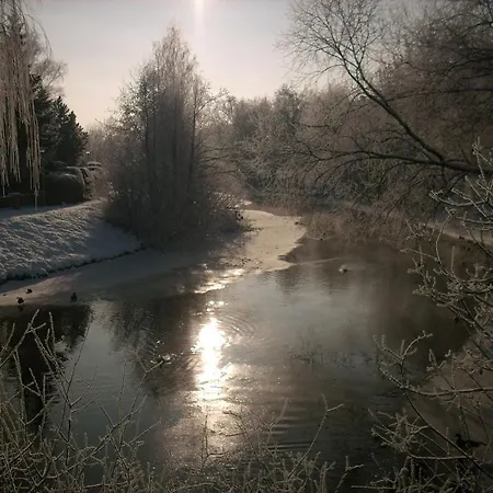 Hainbuche Im Spreewald Lubben