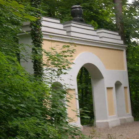 Hainbuche Im Spreewald *