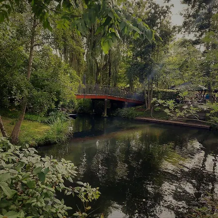 Hainbuche Im Spreewald * לובן