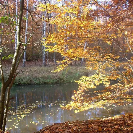 Hainbuche Im Spreewald * לובן