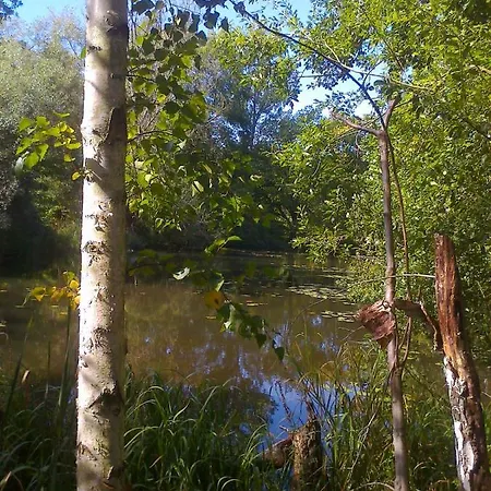 Hainbuche Im Spreewald * Lübben