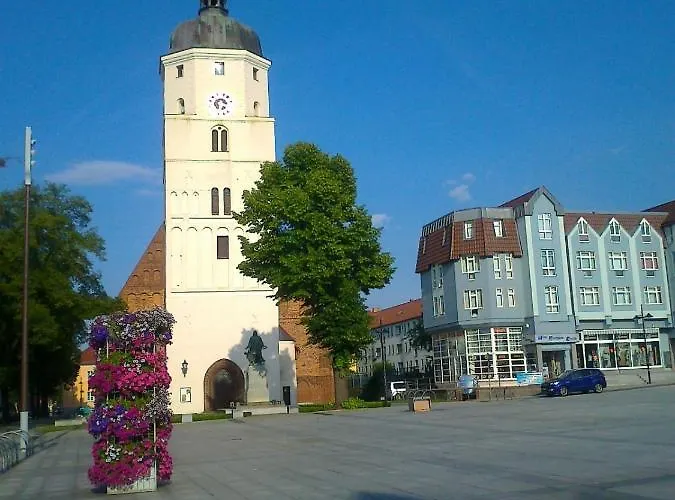 Hainbuche Im Spreewald *