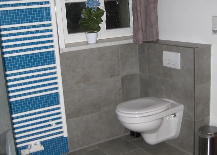 Hainbuche Im Spreewald Lübben