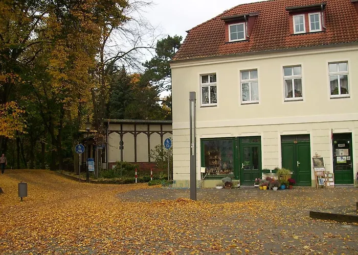 Hainbuche Im Spreewald