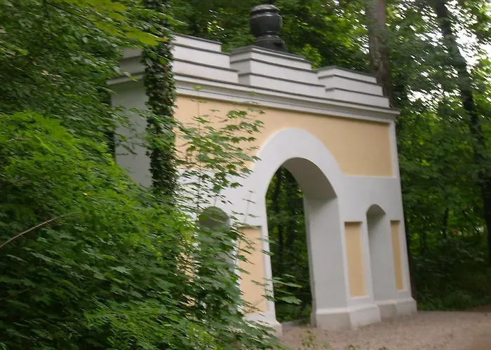 Hainbuche Im Spreewald *