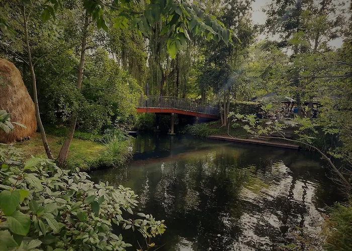 Hainbuche Im Spreewald * Lübben