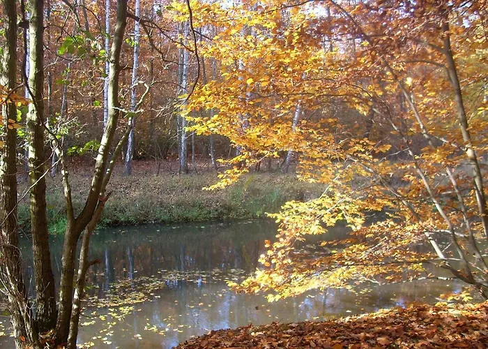 Hainbuche Im Spreewald * Lübben