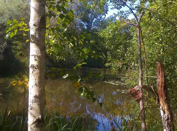 Hainbuche Im Spreewald * Lübben